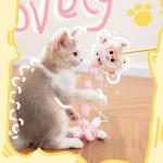 Baby Three cat teasing stick