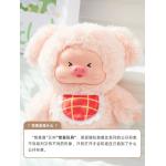 三小毛-豚宝小牧場です