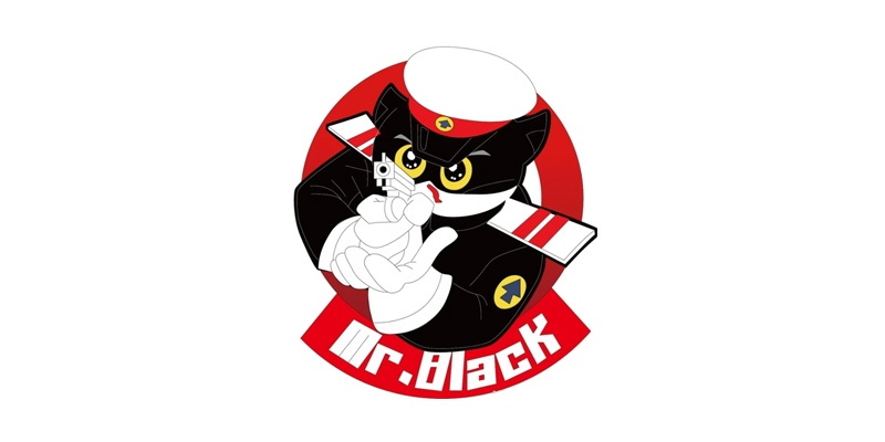 Mr. Black Cat